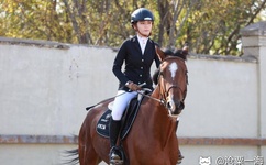 西西人艺体图片欧美